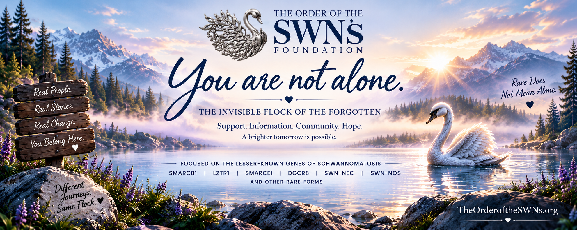 The Order of the SWNs Foundation — You are not alone. The Invisible Flock of the Forgotten. Support. Information. Community. Hope.